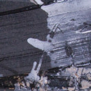 Belkiss Oliveira (pormenor)