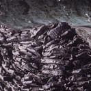 Jo&atilde;o Carqueijeiro (pormenor)