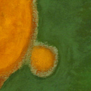 Manuel Casal Aguiar (detail)