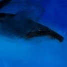 Marta Resende (pormenor)