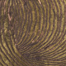 Paulo Neves (detail)